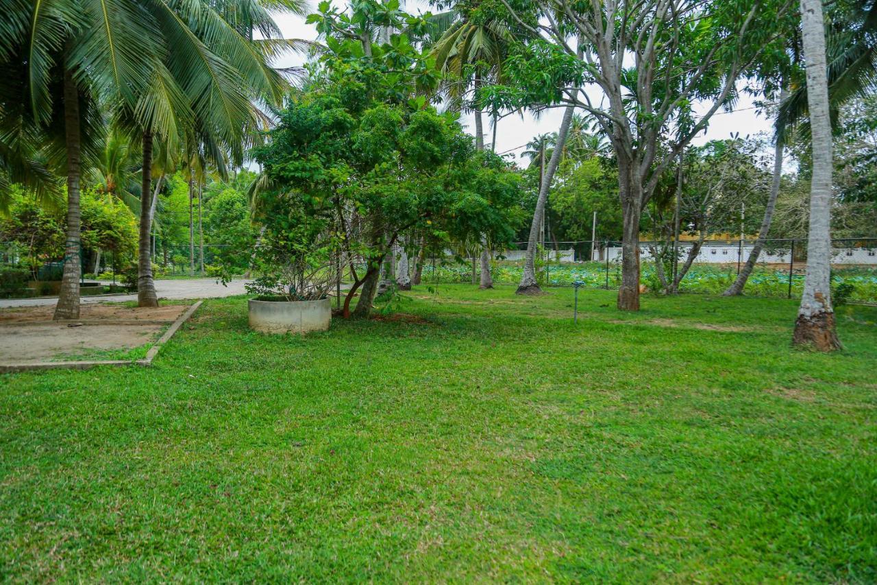 Lake Edge Holiday Inn Tissamaharama Bagian luar foto