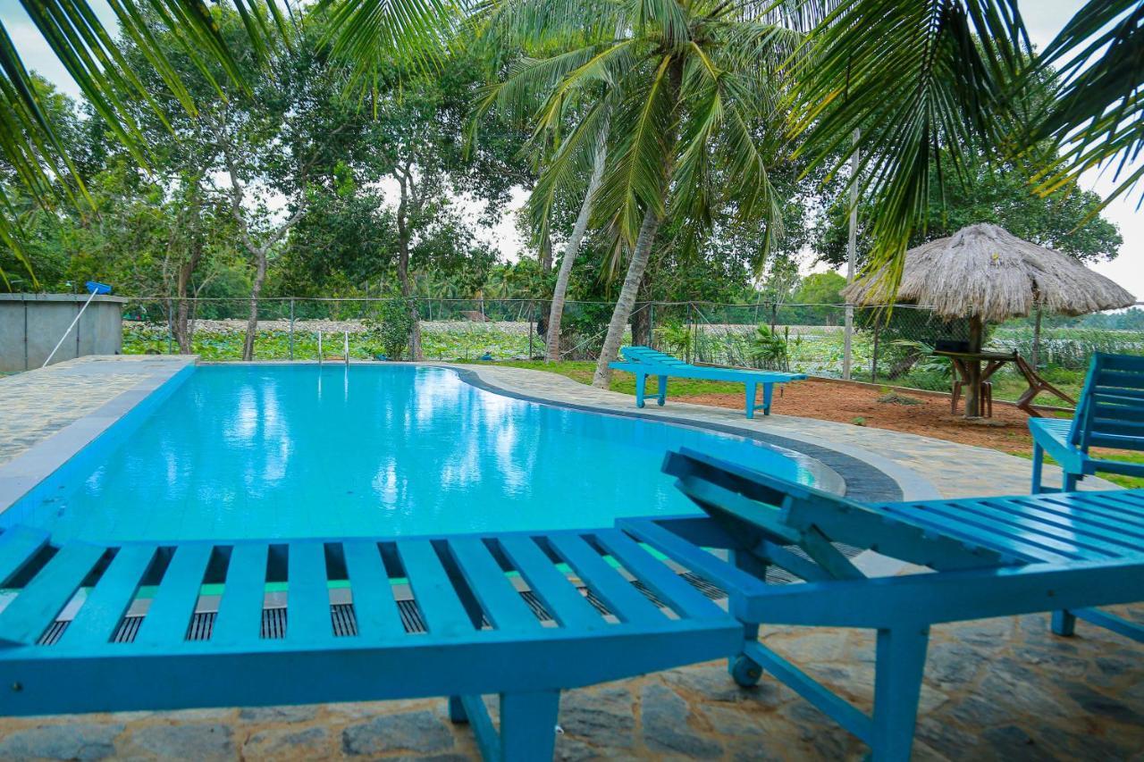 Lake Edge Holiday Inn Tissamaharama Bagian luar foto