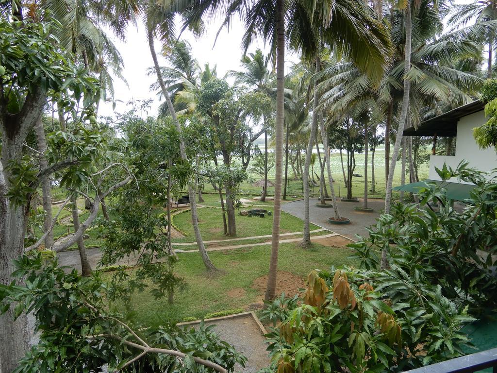 Lake Edge Holiday Inn Tissamaharama Bagian luar foto
