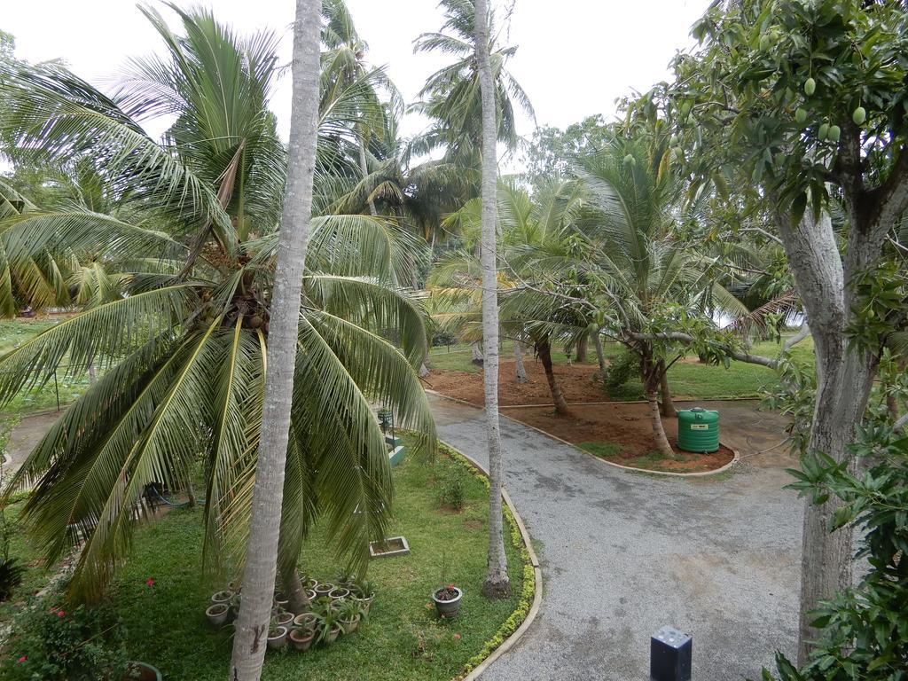 Lake Edge Holiday Inn Tissamaharama Bagian luar foto